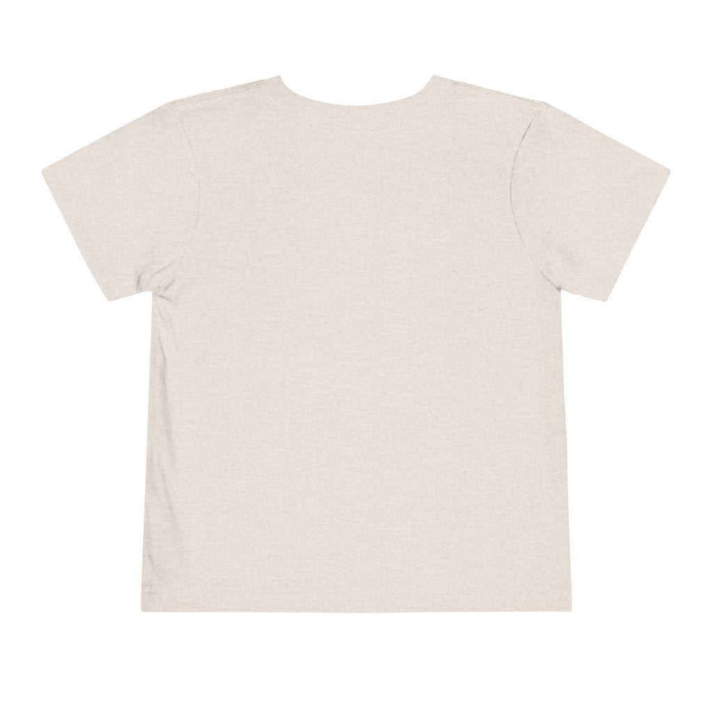 To Clean Toddler Tee