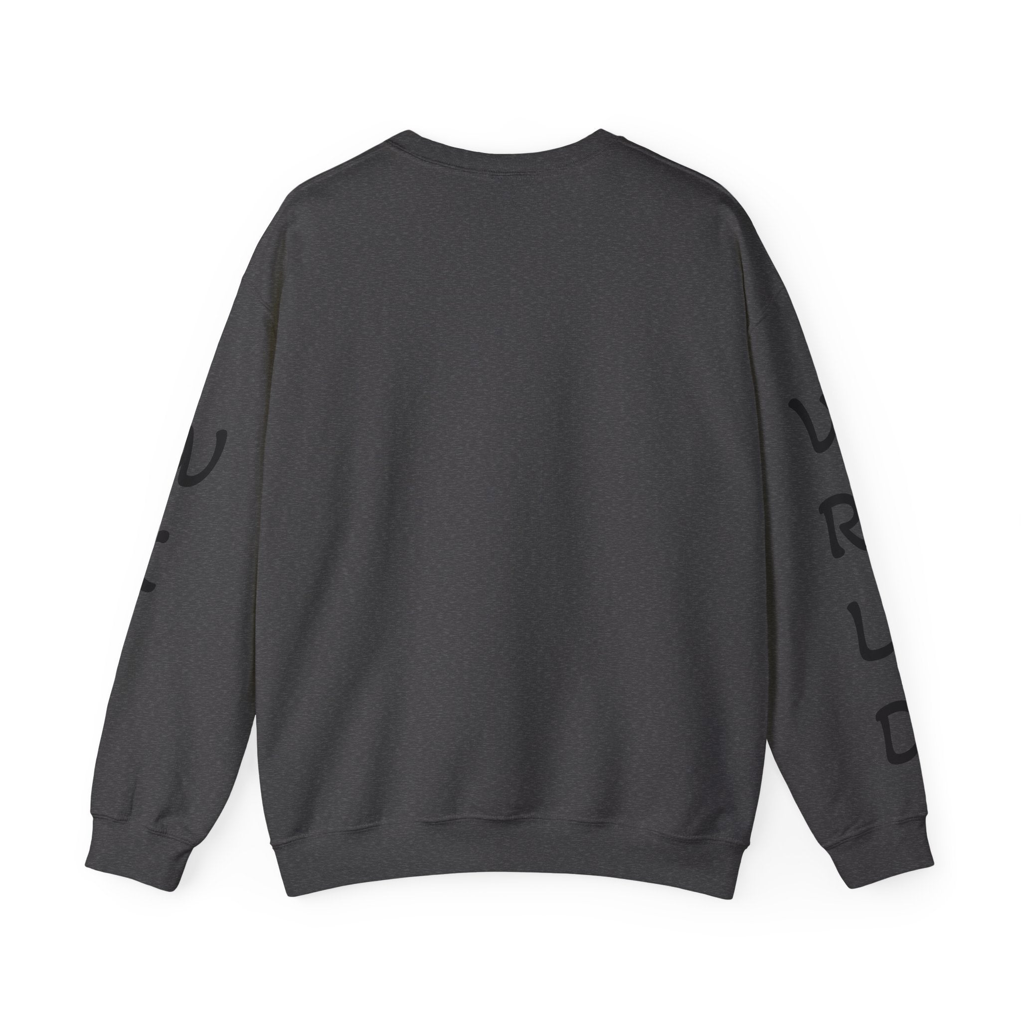 Question Everything Sweatshirt — Flat Earth Map Graphic Crewneck