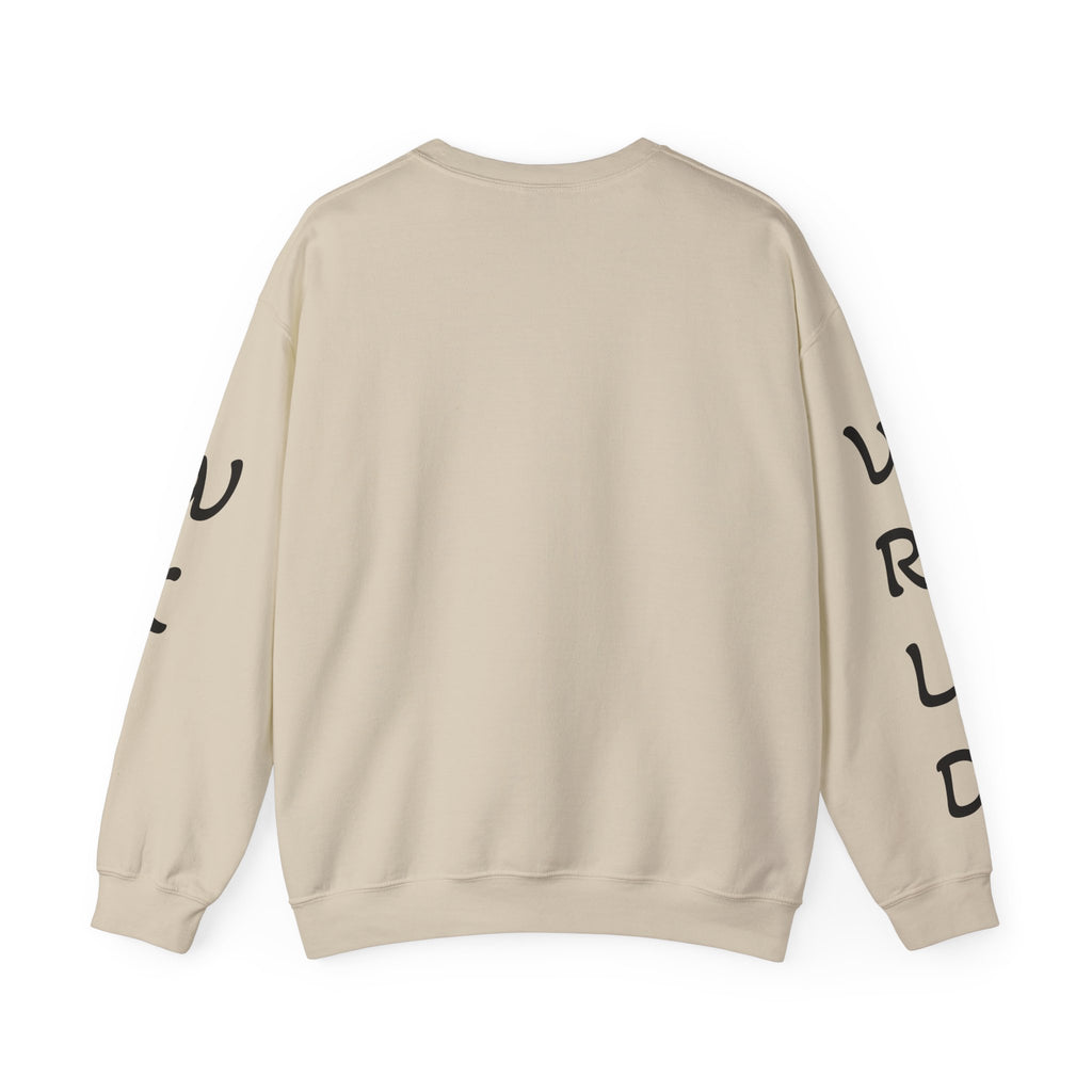 Question Everything Sweatshirt — Flat Earth Map Graphic Crewneck