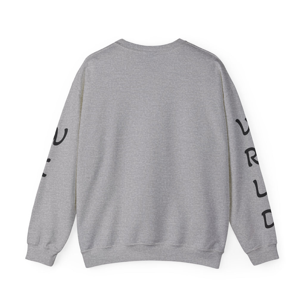 Question Everything Sweatshirt — Flat Earth Map Graphic Crewneck