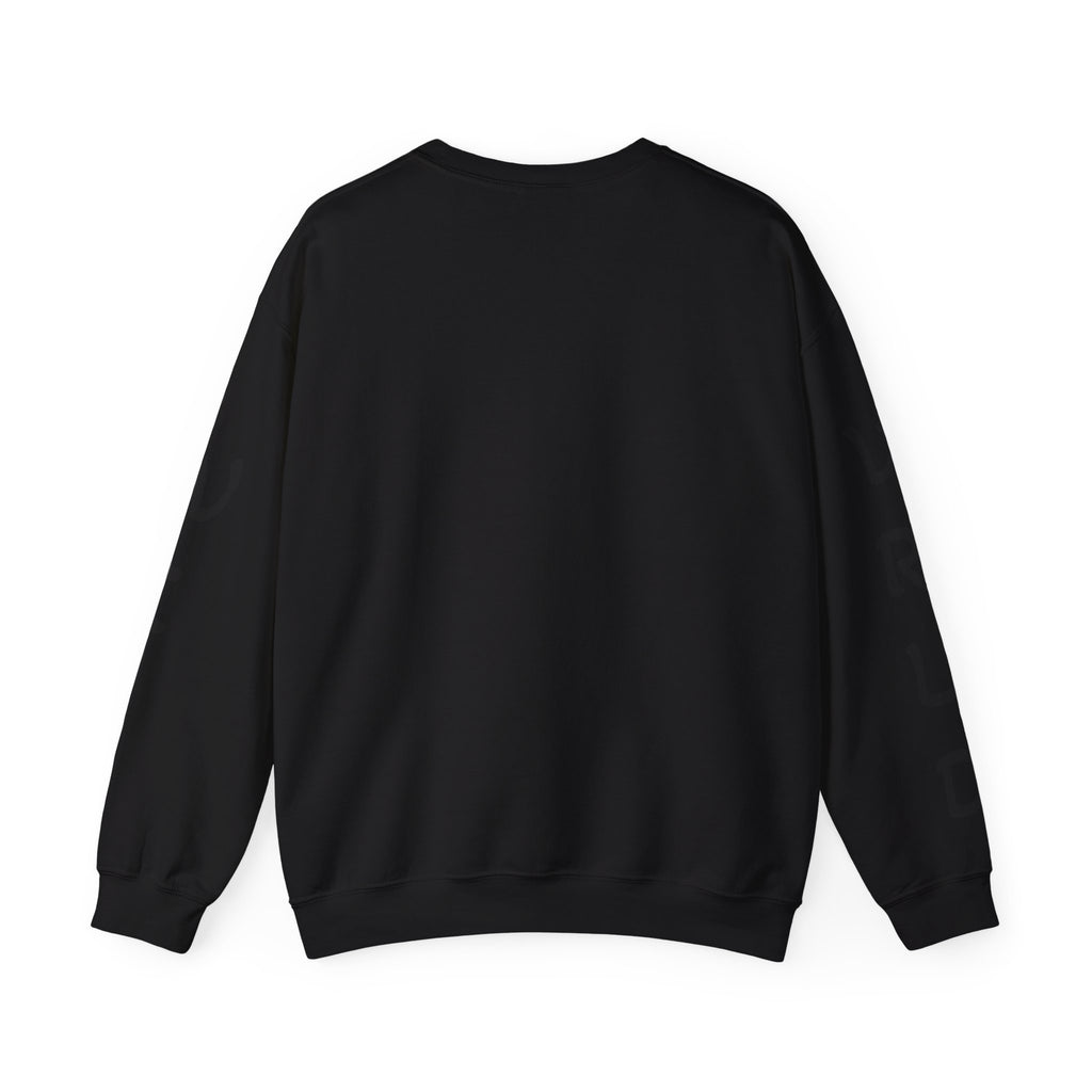 Question Everything Sweatshirt — Flat Earth Map Graphic Crewneck
