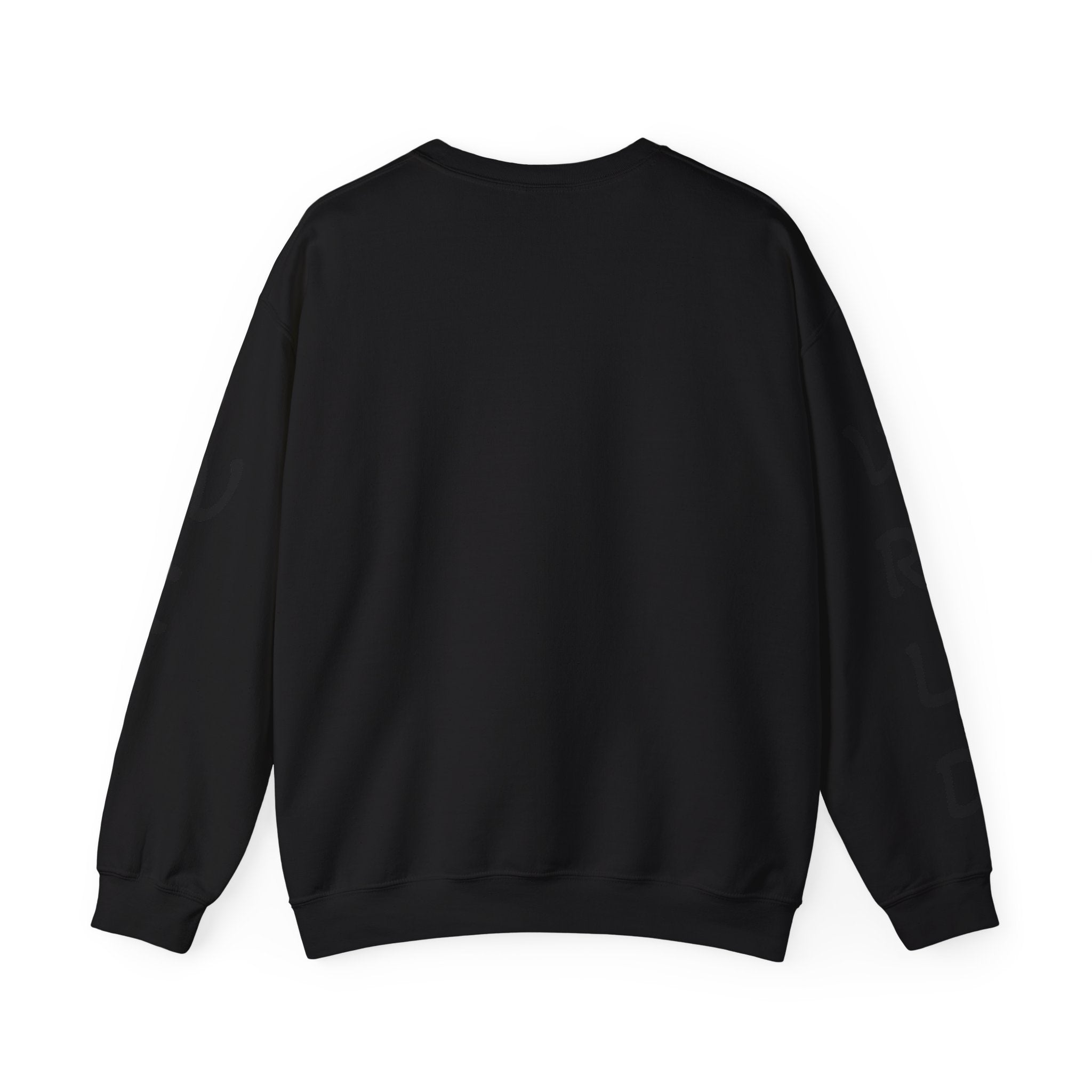 Question Everything Sweatshirt — Flat Earth Map Graphic Crewneck