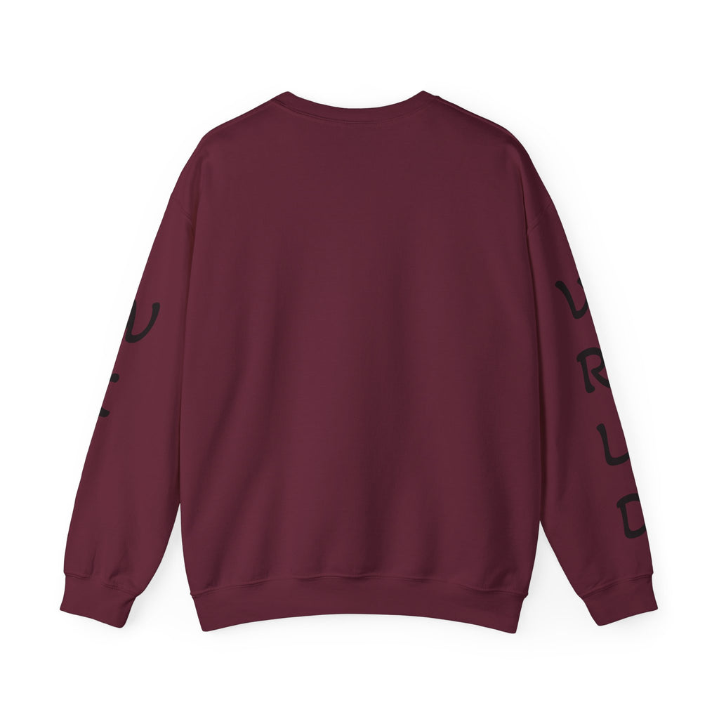 Question Everything Sweatshirt — Flat Earth Map Graphic Crewneck