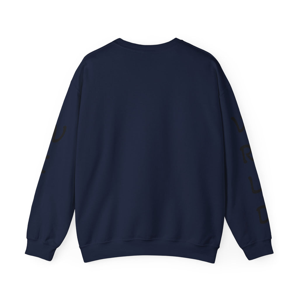 Question Everything Sweatshirt — Flat Earth Map Graphic Crewneck