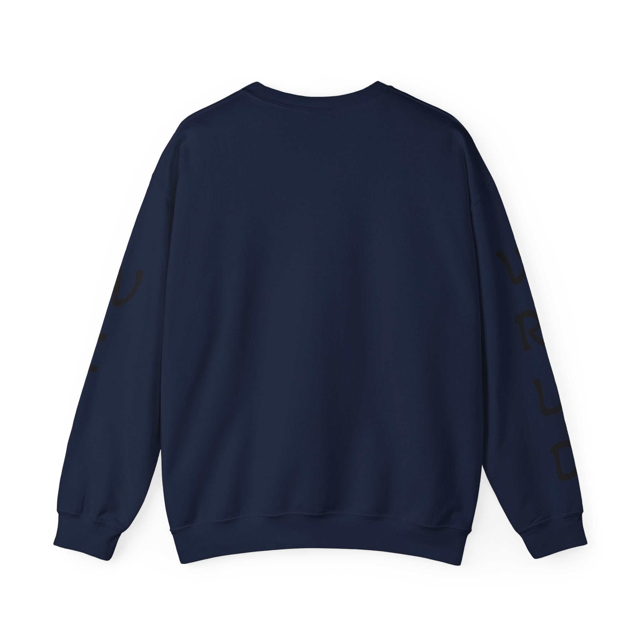 Question Everything Sweatshirt — Flat Earth Map Graphic Crewneck