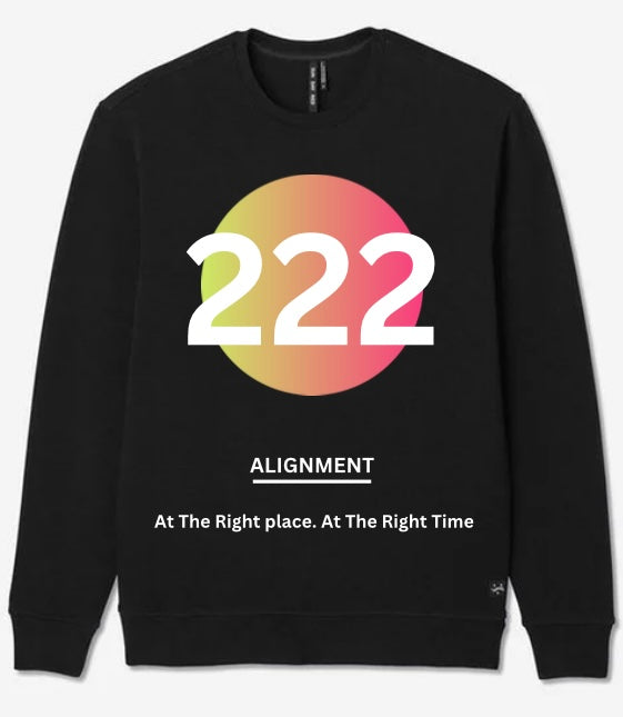 Divine Numbers Sweatshirt #777