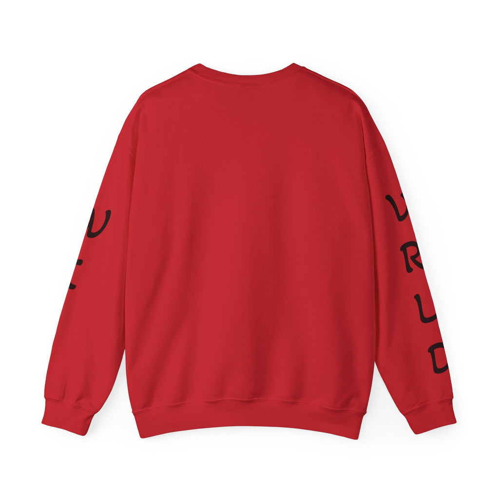 Question Everything Sweatshirt — Flat Earth Map Graphic Crewneck