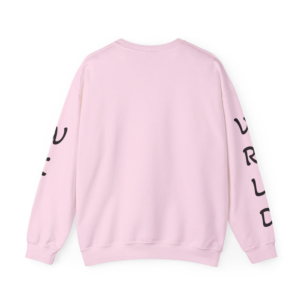Question Everything Sweatshirt — Flat Earth Map Graphic Crewneck