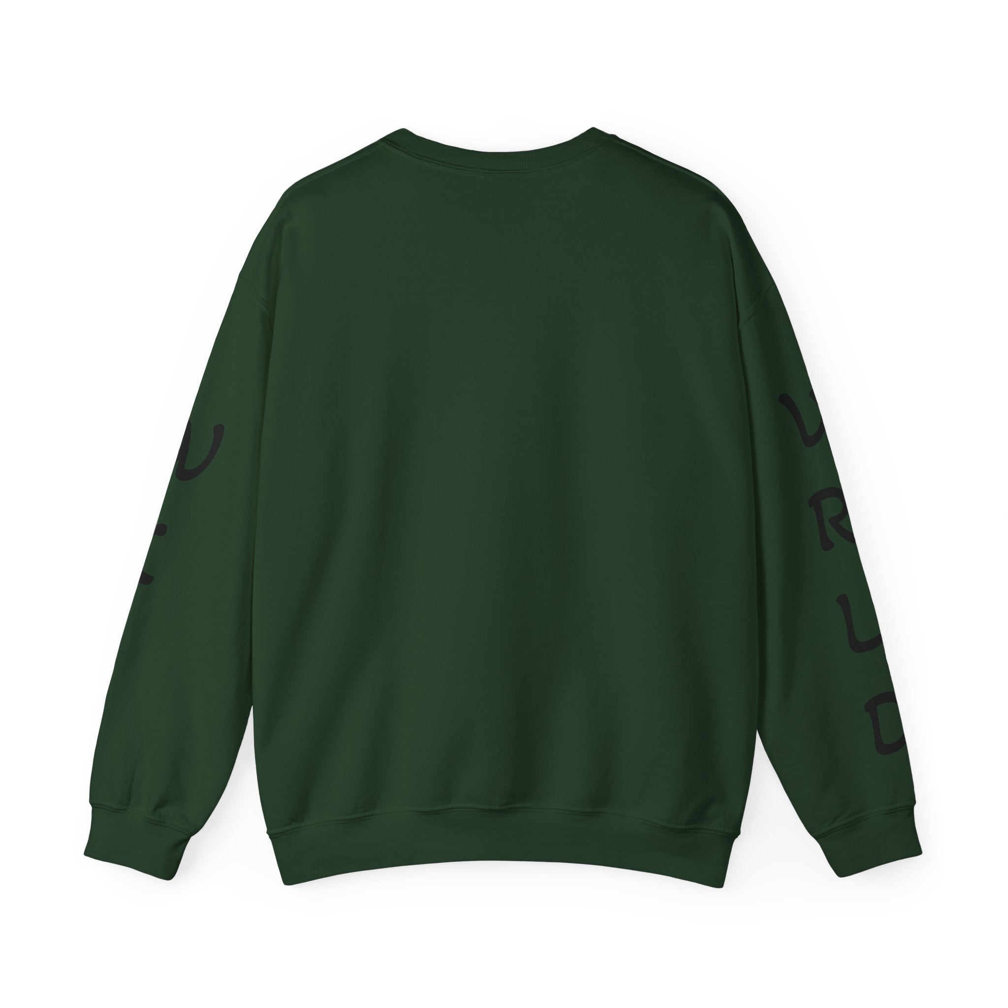 Question Everything Sweatshirt — Flat Earth Map Graphic Crewneck